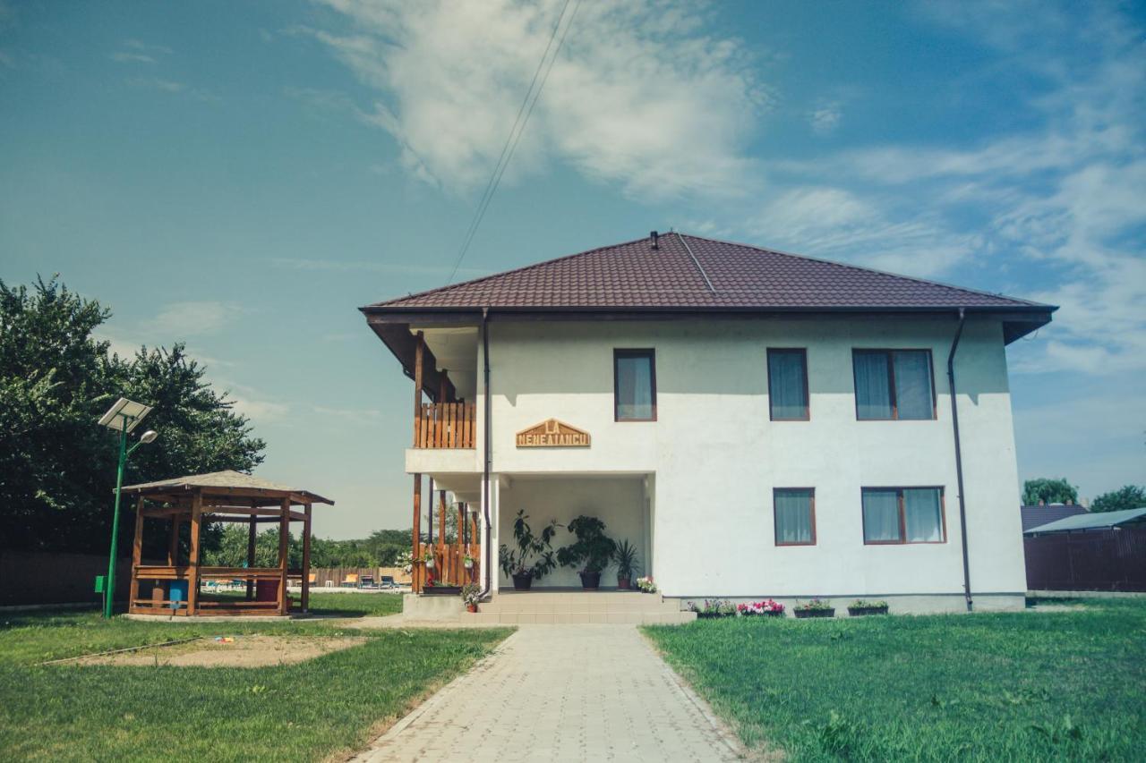 Pensiunea La Nenea Iancu Greci Exteriér fotografie