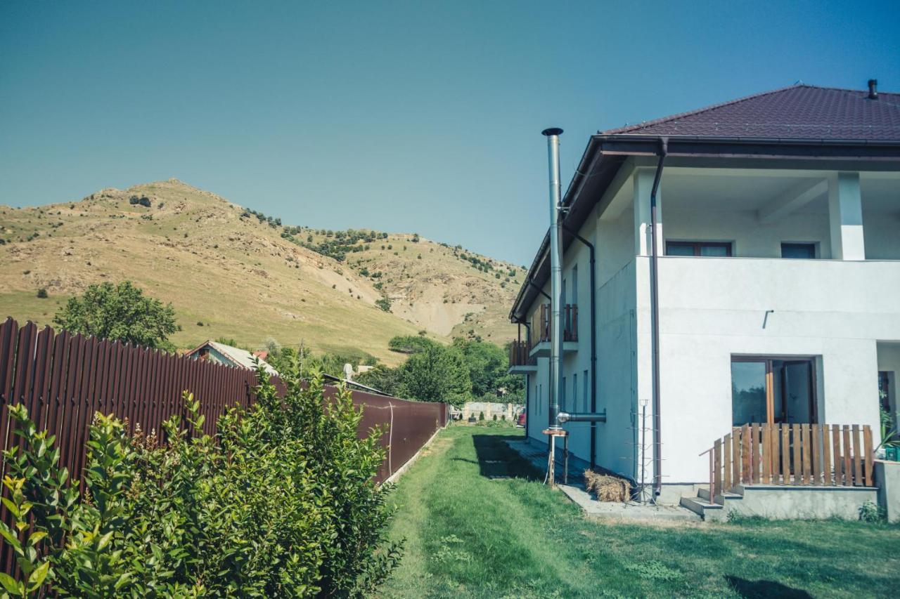 Pensiunea La Nenea Iancu Greci Exteriér fotografie