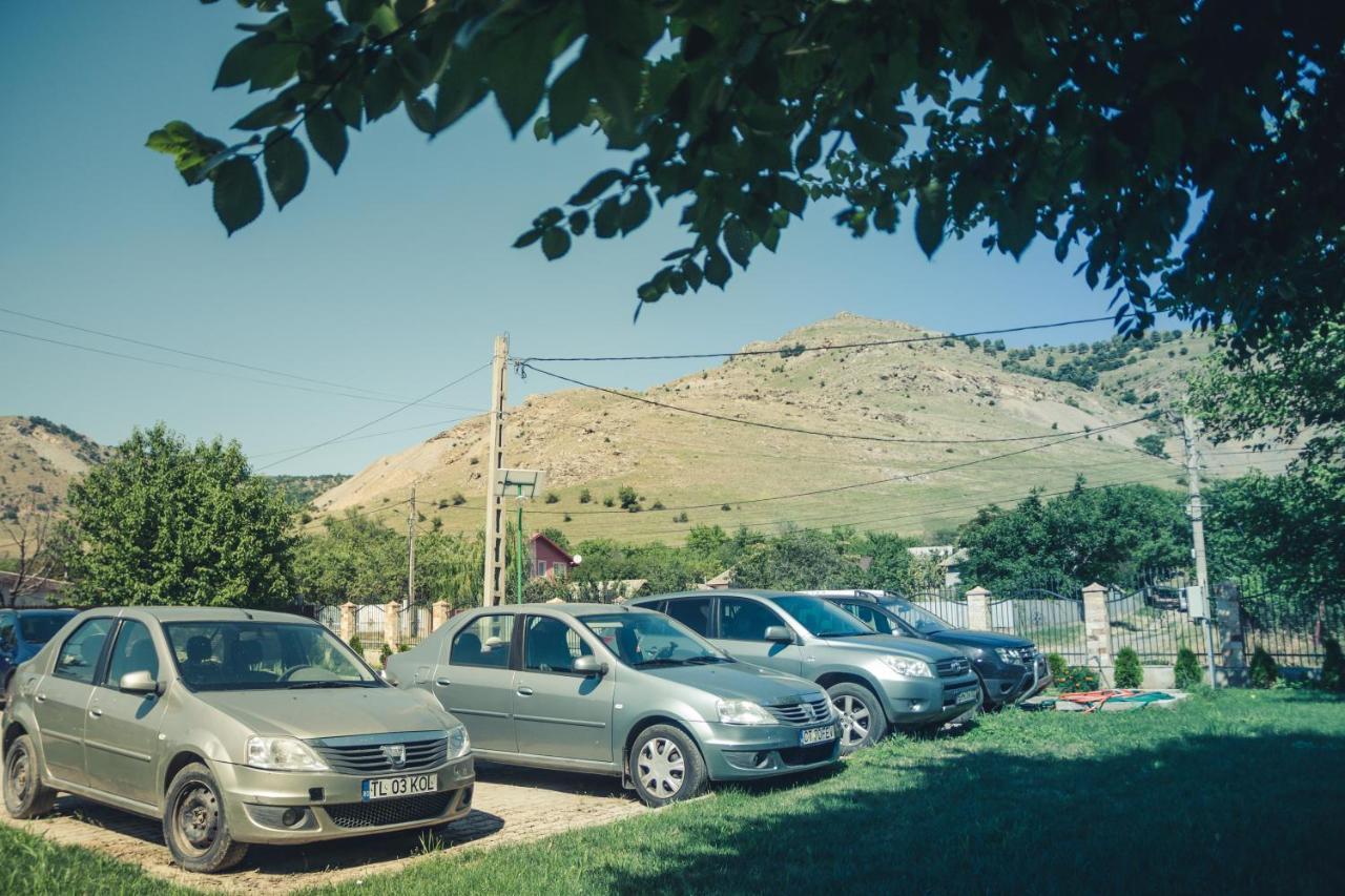 Pensiunea La Nenea Iancu Greci Exteriér fotografie